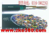 HYAC 10*2*0.6 10*2*0.4 自承式通信电缆