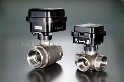 NIPPON VALVE CONTROLS INC