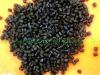 大量高品质黑色HDPE粒料供应