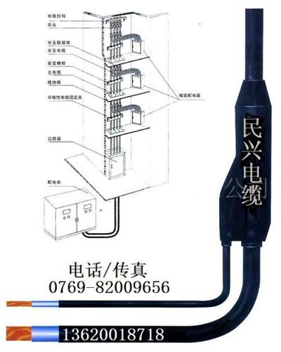 预分支电缆