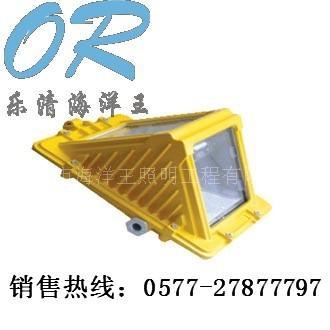 乐清海洋王提供 DGS70-127B C 矿用隔爆型巷道灯