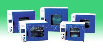 电热恒温鼓风干燥箱