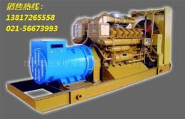 上海供應(yīng)濟柴系列柴油發(fā)電機組
