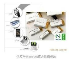 供应华天手机mp3.mp4锂电池
