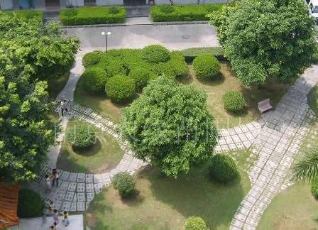 南京小区绿化 工厂绿化 学校绿化工程