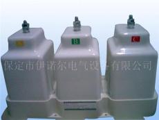 ENR-FGB复合式过电压保护器