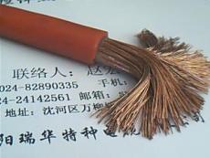 硅橡膠引接電纜