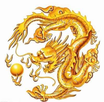 深圳龍崗貨運(yùn)有限公司