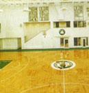 木地板篮球场 室内篮球场