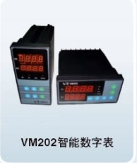 VM202智能数字表