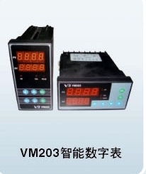 VM203智能控制表
